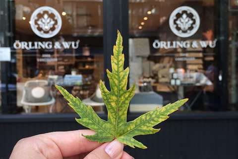 Ein kanadisches Ahornblatt vor einer Boutique in Gastown, Vancouver.