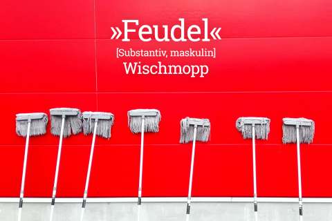 Plattdeutsches Wörterbuch: Feudel