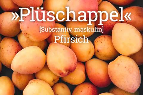 Plattdeutsches Wörterbuch: Plüschappel